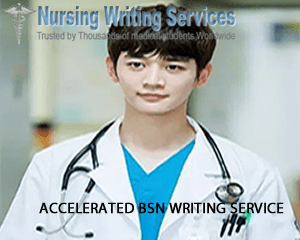 Accelerated BSN Writing Services